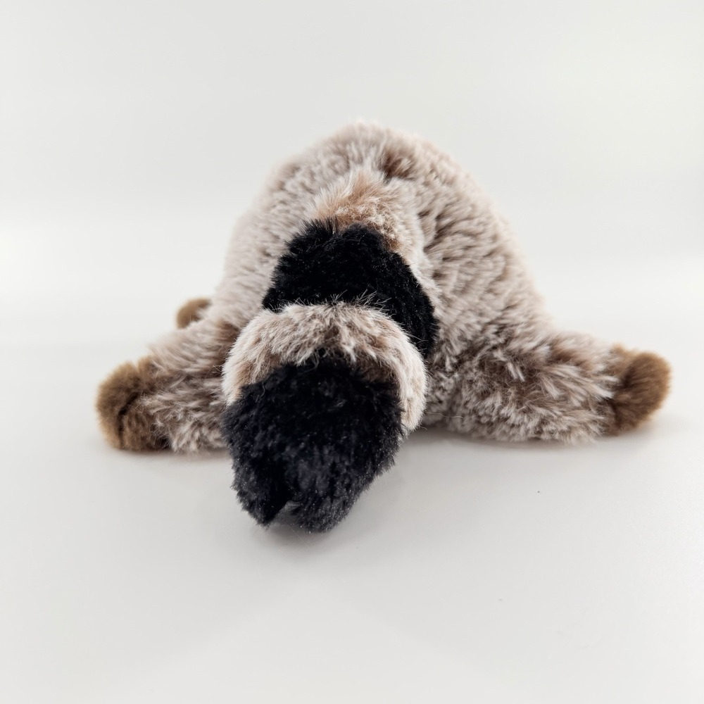 Douglas Ringo Raccoon Plush 10" Stuffed Animal Collectible Realistic 2018 EUC - Picture 5 of 12